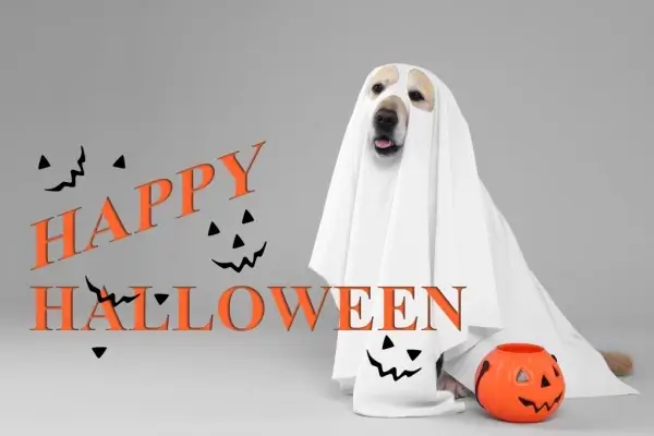 Happy Halloween from Conde Mortgage Corp